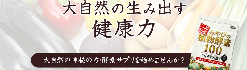 �݂�т̐A���y�f100���T�C�g